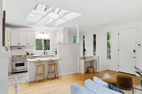 Other - 156 Florence Ave, Mill Valley, CA 94941 photo 6 of 10