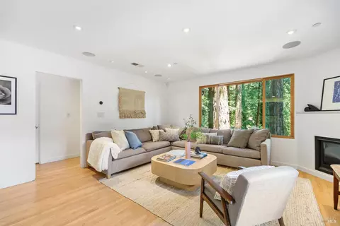 Living - 655 Edgewood Ave, Mill Valley, CA 94941 photo 5 of 6