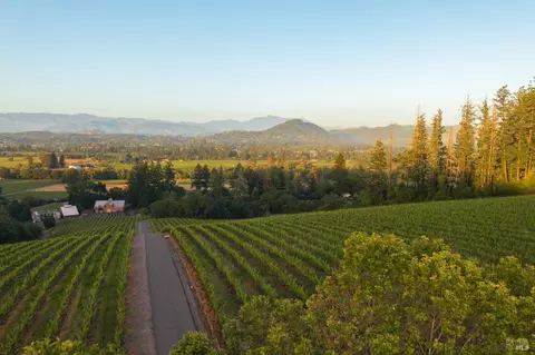 View/Area - 437 W Dry Creek Rd, Healdsburg, CA 95448 photo 6 of 6