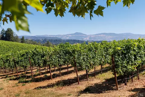 Other - 437 W Dry Creek Rd, Healdsburg, CA 95448 photo 3 of 20