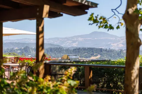 View/Area - 437 W Dry Creek Rd, Healdsburg, CA 95448 photo 3 of 9