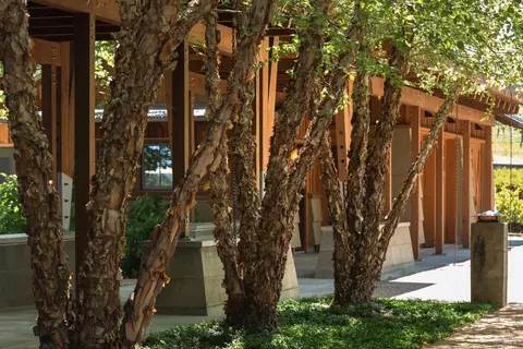 Exterior - 437 W Dry Creek Rd, Healdsburg, CA 95448 photo 13 of 23