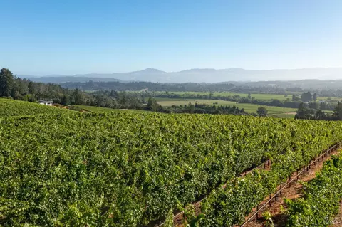 View/Area - 437 W Dry Creek Rd, Healdsburg, CA 95448 photo 5 of 9
