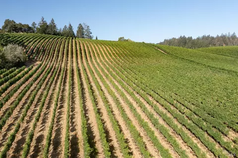 Other - 437 W Dry Creek Rd, Healdsburg, CA 95448 photo 18 of 20