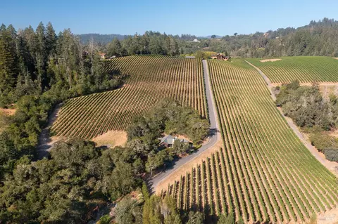 Other - 437 W Dry Creek Rd, Healdsburg, CA 95448 photo 15 of 20