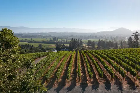 View/Area - 437 W Dry Creek Rd, Healdsburg, CA 95448 photo 4 of 9
