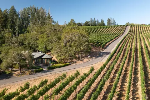 Other - 437 W Dry Creek Rd, Healdsburg, CA 95448 photo 16 of 20