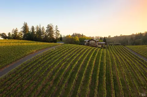 Other - 437 W Dry Creek Rd, Healdsburg, CA 95448 photo 12 of 12
