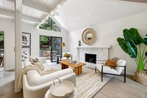 Living - 514 Browning St, Mill Valley, CA 94941 photo 4 of 4