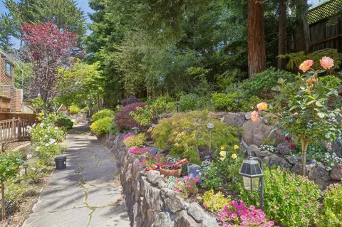 Exterior - 514 Browning St, Mill Valley, CA 94941 photo 5 of 12