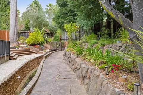 Exterior - 514 Browning St, Mill Valley, CA 94941 photo 8 of 12