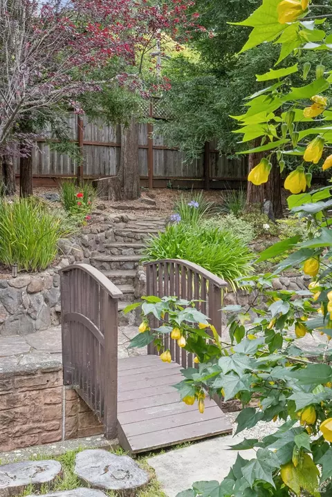 Exterior - 514 Browning St, Mill Valley, CA 94941 photo 6 of 12