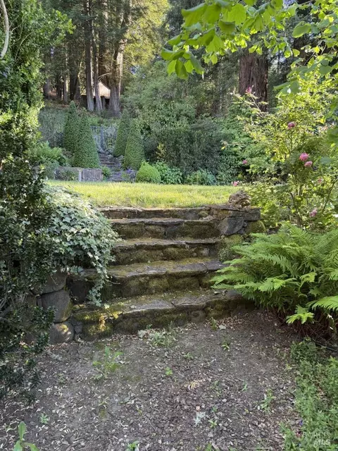 Exterior - Undisclosed, Occidental, CA 95465 photo 21 of 37