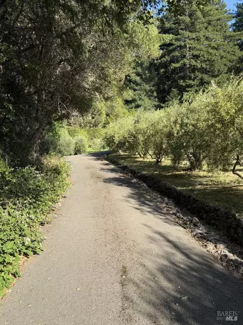 Exterior - Undisclosed, Occidental, CA 95465 photo 31 of 37