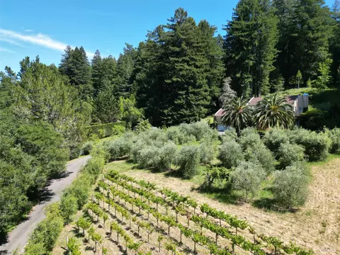 Other - Undisclosed, Occidental, CA 95465 photo 16 of 17