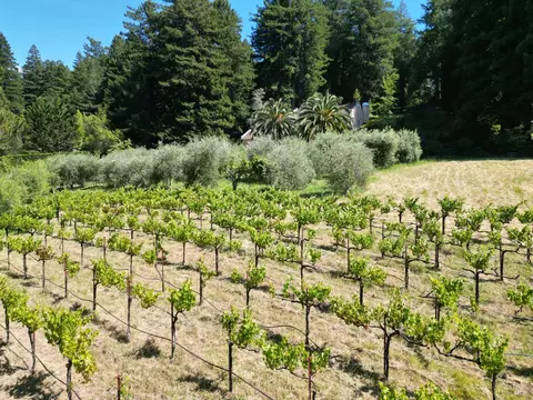 Other - Undisclosed, Occidental, CA 95465 photo 15 of 17