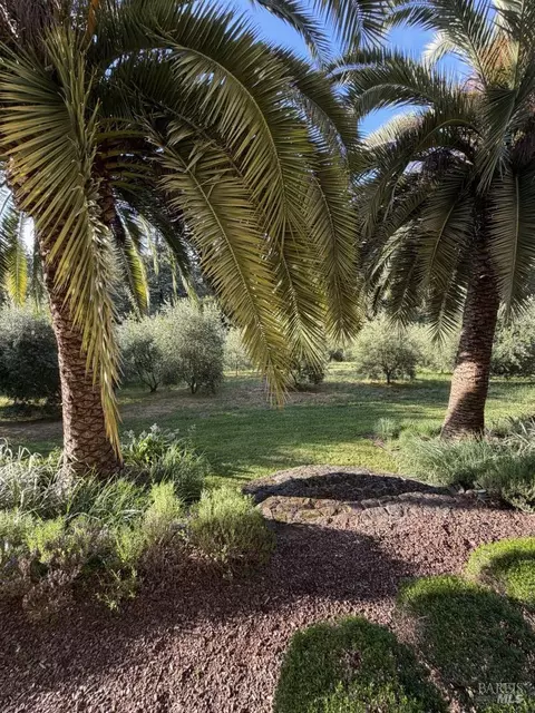 Exterior - Undisclosed, Occidental, CA 95465 photo 6 of 37
