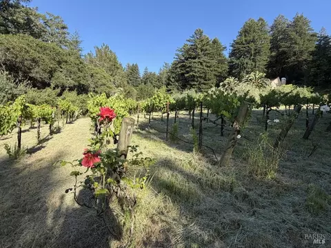 Exterior - Undisclosed, Occidental, CA 95465 photo 29 of 37