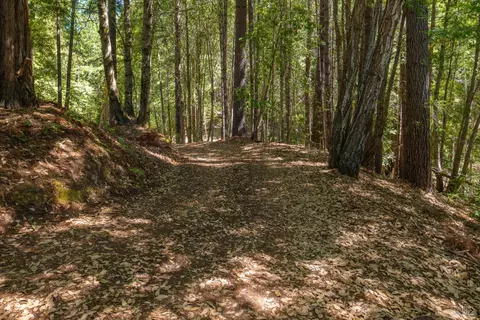 Other - 33790 Annapolis Rd, Annapolis, CA 95412 photo 5 of 14