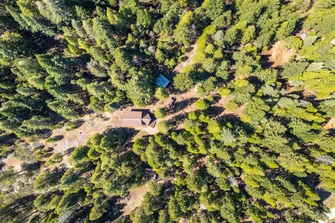 View/Area - 35193 Eagle Ln, Shingletown, CA 96088 photo 2 of 7
