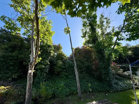Exterior - 148 Daffodil Cir, Vallejo, CA 94591 photo 2 of 3