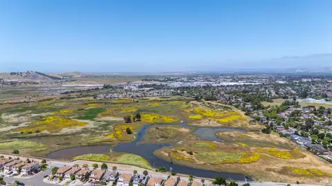 View/Area - 36862 Walnut St, Newark, CA 94560 photo 5 of 8