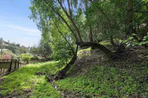 29 Lower Alcatraz Pl, Mill Valley, CA 94941 photo 14