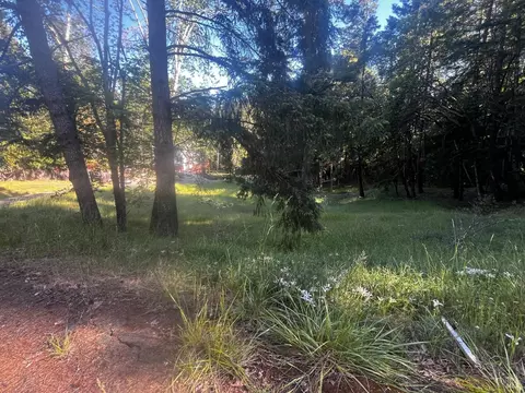 26048 Peacock Rd, Willits, CA 95490 photo 3