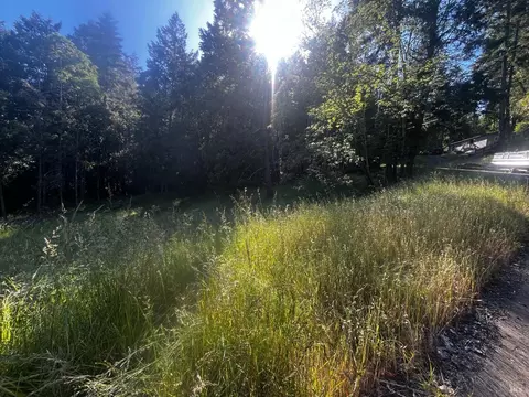 26048 Peacock Rd, Willits, CA 95490 photo 2