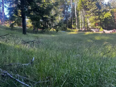 26048 Peacock Rd, Willits, CA 95490 photo 4