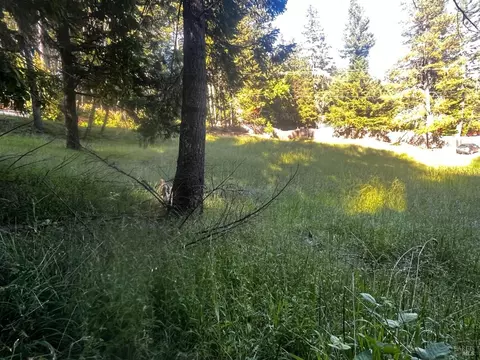 26048 Peacock Rd, Willits, CA 95490 photo 5