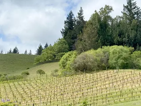 8900 Surprise Valley Rd, Comptche, CA 95427 photo 18