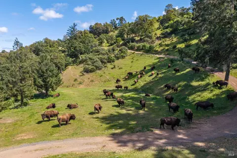 Other - 6201 E Highway 20 Hwy, Ukiah, CA 95482 photo 13 of 20