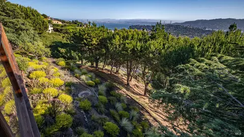 View/Area - 23 Venado Dr, Tiburon, CA 94920 photo 6 of 10