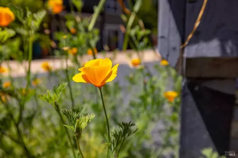 Other - 279 Valparaiso Ave, Cotati, CA 94931 photo 12 of 12
