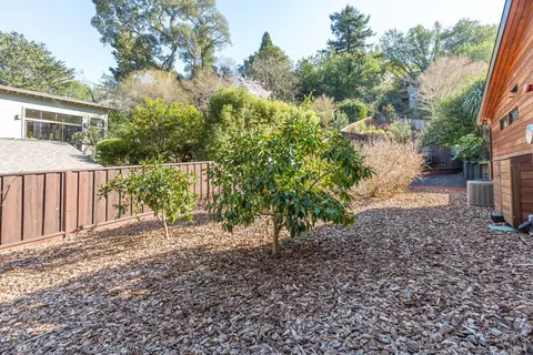 Exterior - 431 Marin Ave, Mill Valley, CA 94941 photo 11 of 15