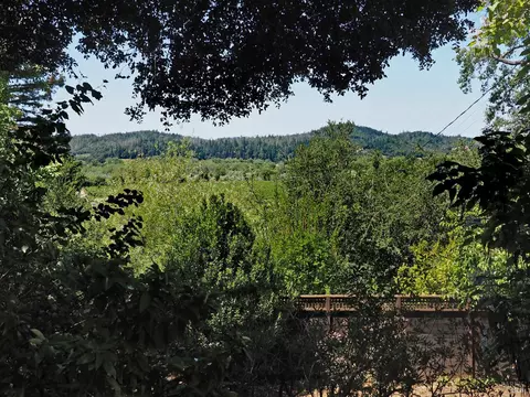 Exterior - 22549 River Rd, Geyserville, CA 95441 photo 9 of 30
