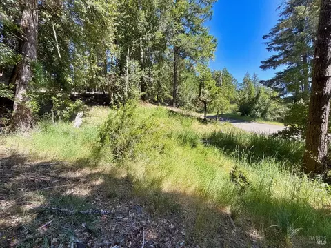 1494 Hulett Pl, Willits, CA 95490 photo 6