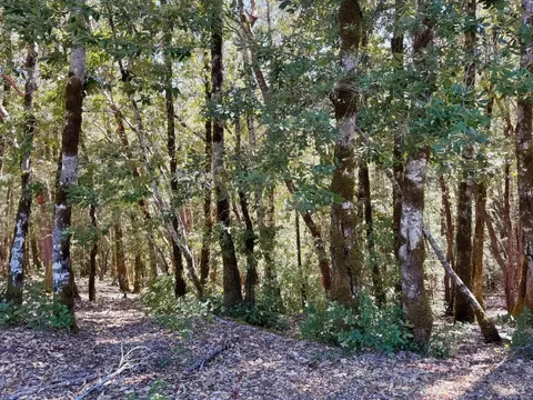 2235 Goose Rd, Willits, CA 95490 photo 5