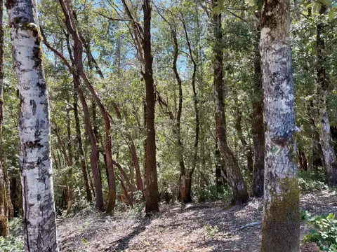 2235 Goose Rd, Willits, CA 95490 photo 7