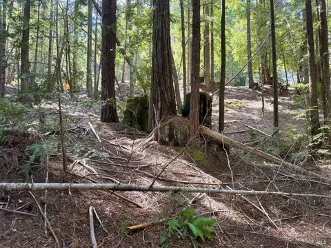 2421 Otter Ln, Willits, CA 95490 photo 3