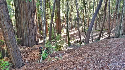 2421 Otter Ln, Willits, CA 95490 photo 4