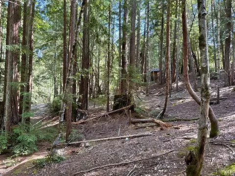 2421 Otter Ln, Willits, CA 95490 photo 7