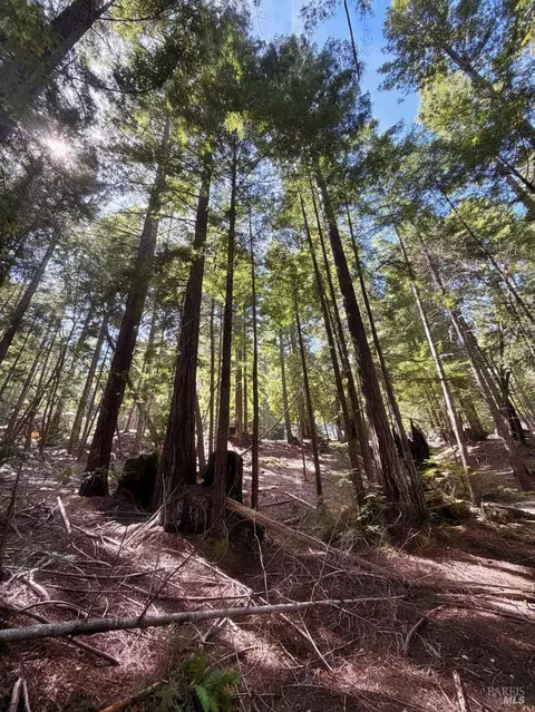2421 Otter Ln, Willits, CA 95490