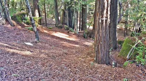 2421 Otter Ln, Willits, CA 95490 photo 5