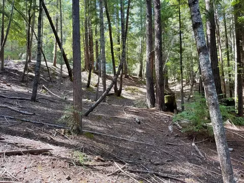 2421 Otter Ln, Willits, CA 95490 photo 9