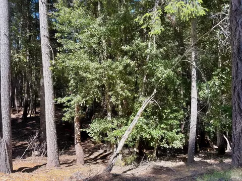 26931 Bear Dr, Willits, CA 95490 photo 5
