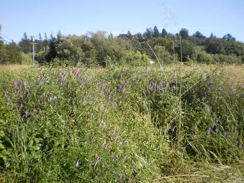 300 Ferguson Rd, Sebastopol, CA 95472