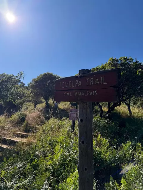 Other - 500 Summit Ave, Mill Valley, CA 94941 photo 9 of 9