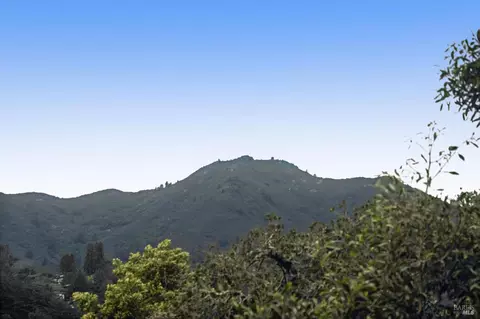 17 Coronet Ave, Mill Valley, CA 94941 photo 14